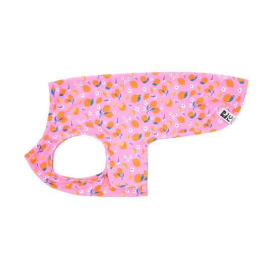Zephyr Cooling Dog Vest