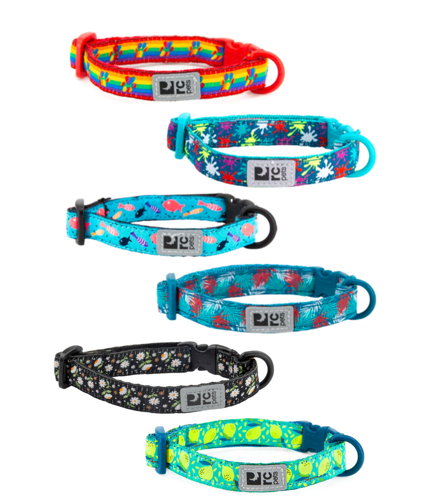 Break away 2024 collars for dogs