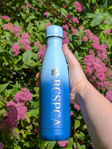 BC SPCA Water Bottle