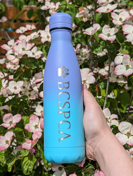 BC SPCA Water Bottle