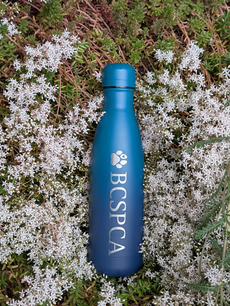 BC SPCA Water Bottle