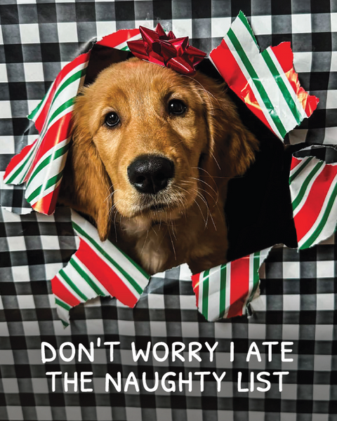 Holiday Cards