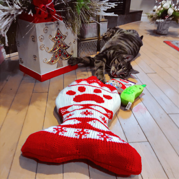 Holiday Pet Stocking
