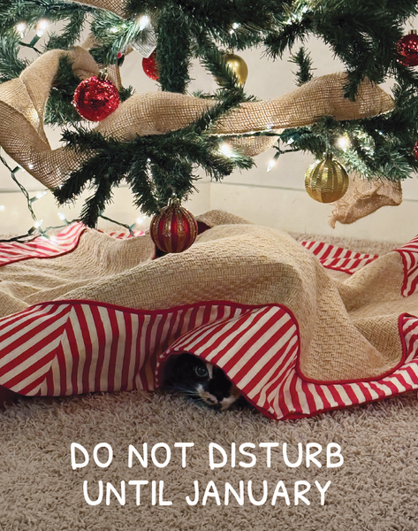 Holiday Cards