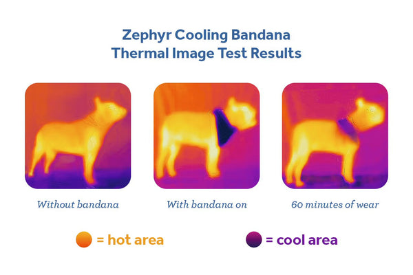 Zephyr Cooling Bandana