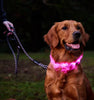 Nova LED Light Collar