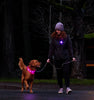 Nova LED Light Collar