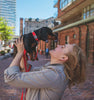 RC Pets - Primary Dog Collar