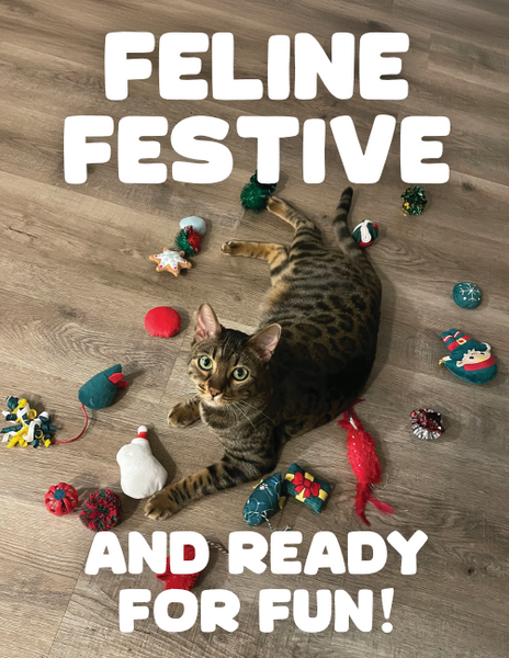 Holiday Cards