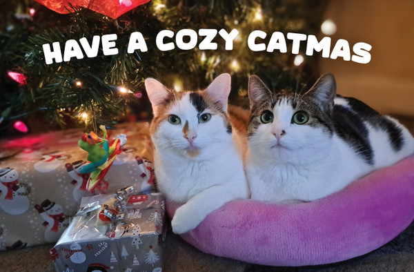 Holiday Cards