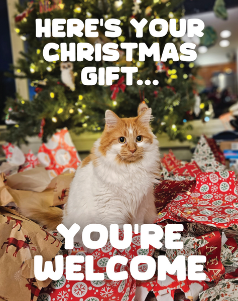 Holiday Cards
