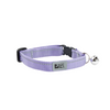 Primary Kitty Breakaway Collar
