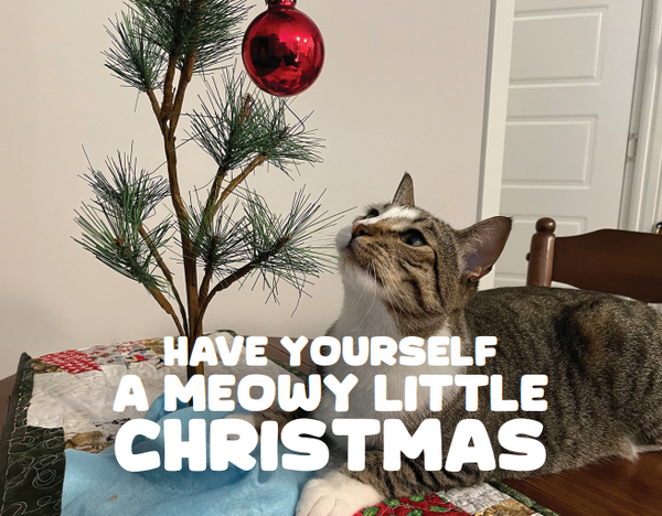 Holiday Cards