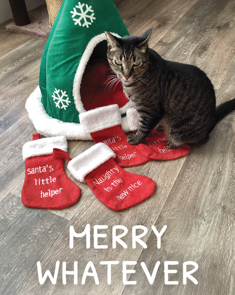 Holiday Cards
