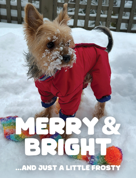 Holiday Cards