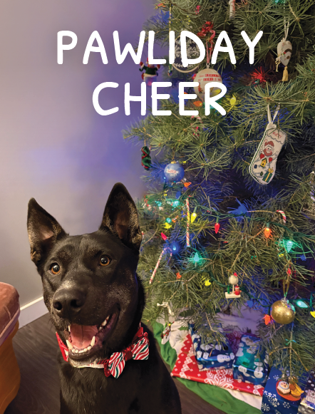 Holiday Cards