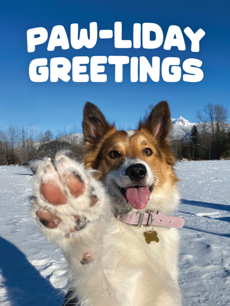 Holiday Cards