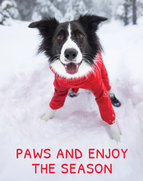 Holiday Cards