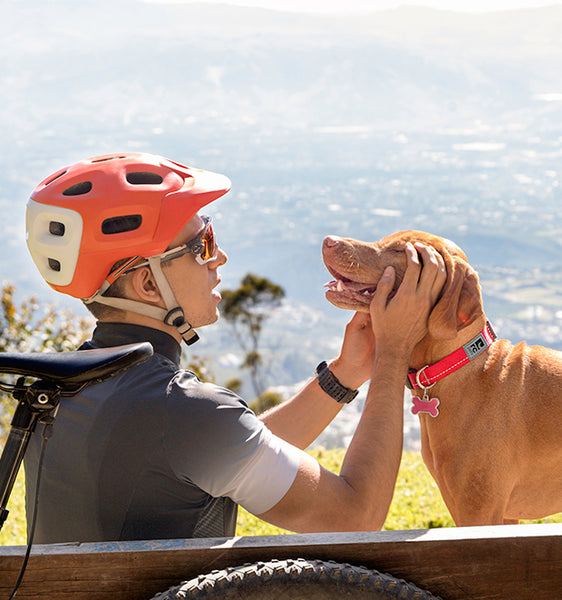 RC Pets - Primary Dog Collar