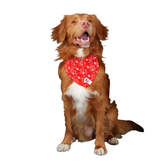 Flare Reflective Bandana