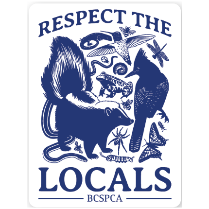 Respect the Locals - Bumper Sticker