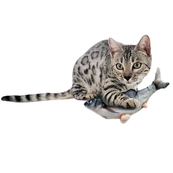 Royal Pet - Floppy Fish Interactive Cat Toy