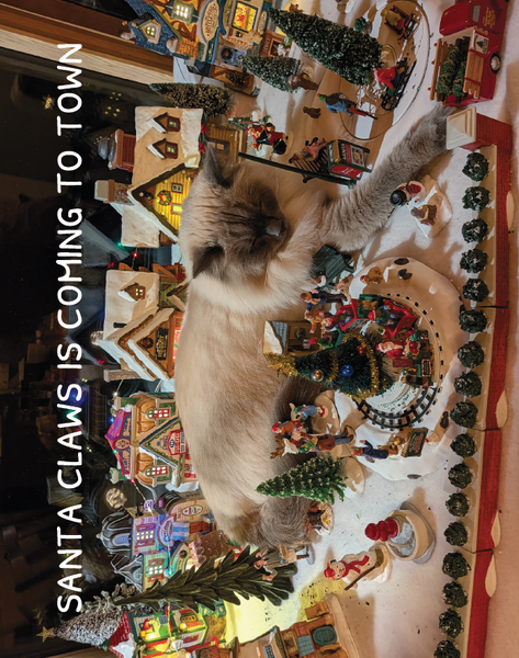 Holiday Cards