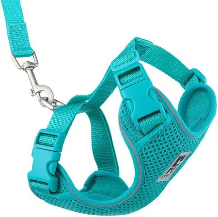Adventure Kitty Harness