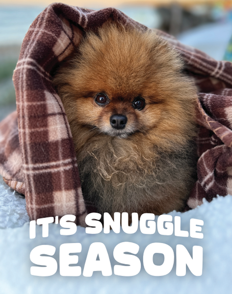 Holiday Cards