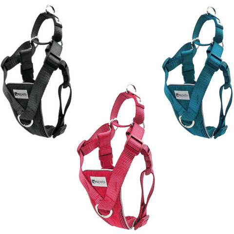 Tempo No Pull Dog Harness