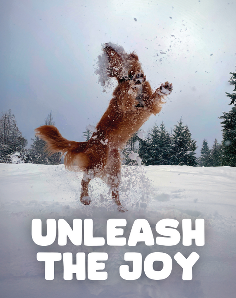 Holiday Cards