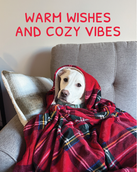Holiday Cards