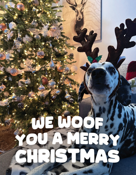 Holiday Cards
