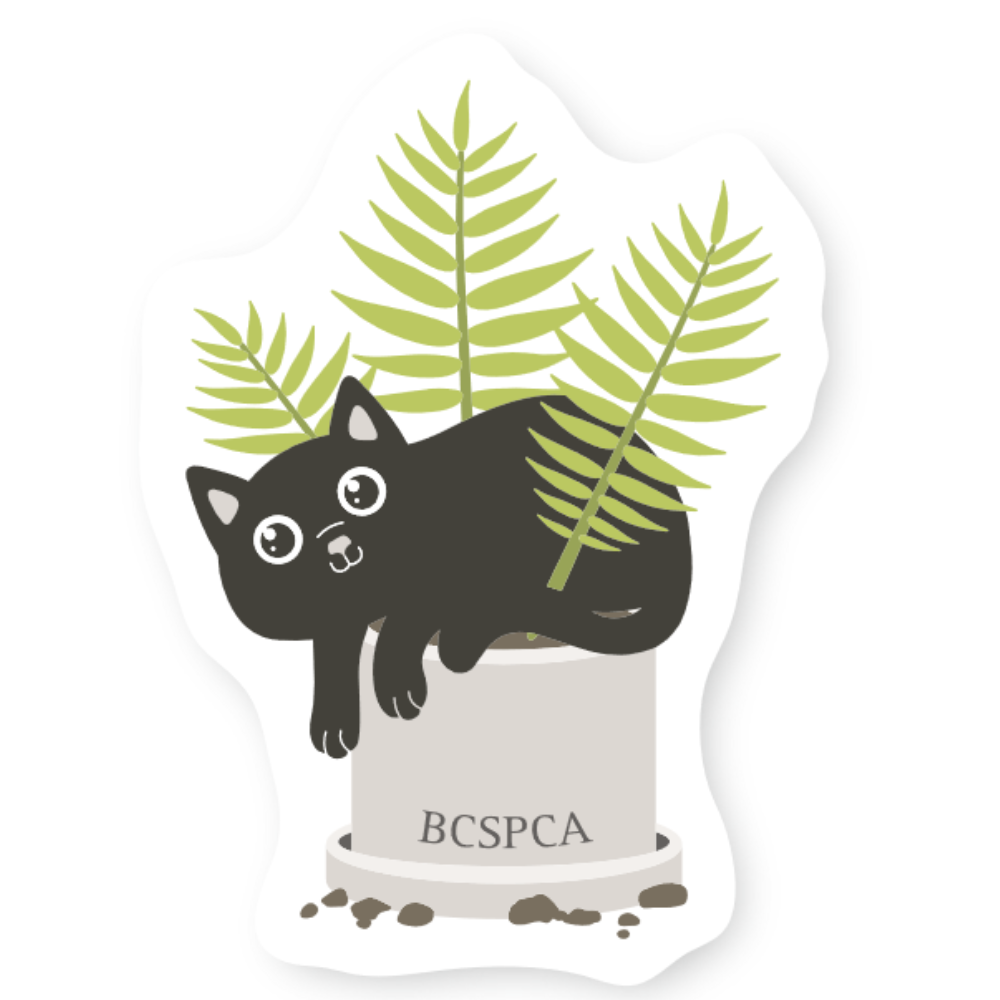 Cat Sticker Bc Stickers – BC SPCA