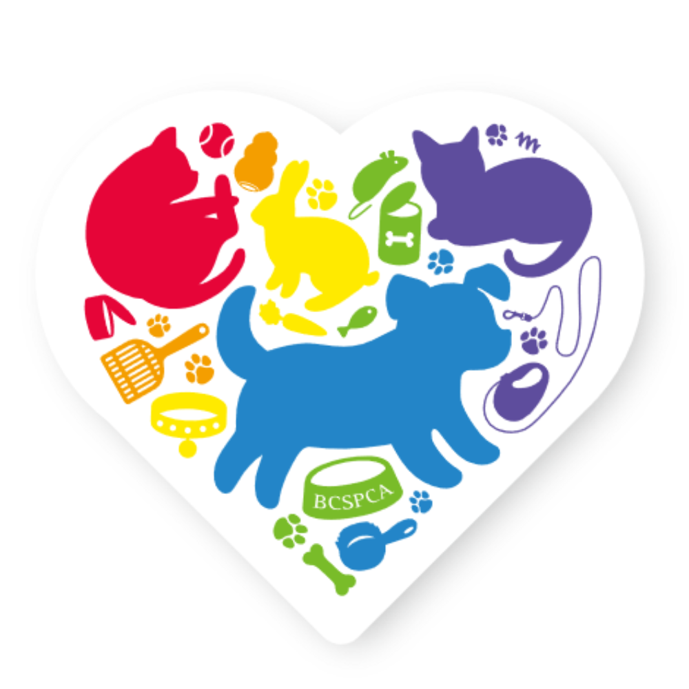 Cat Sticker Bc Stickers – BC SPCA