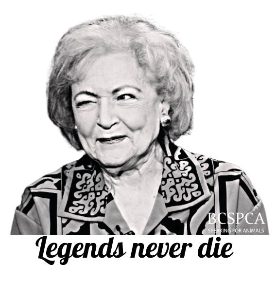 Betty White Legends never die