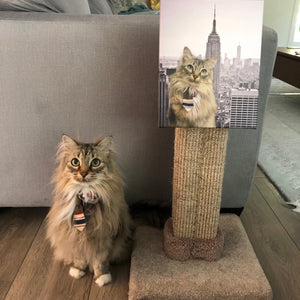 Custom Pet Cut-Out Canvas Print