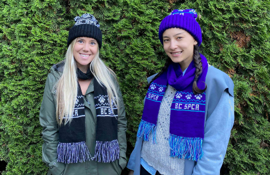BC SPCA Scarf