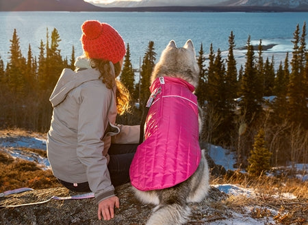 RC Pets Stratus Puffer Dog Jacket