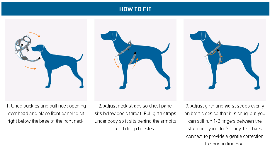 Dog top body strap