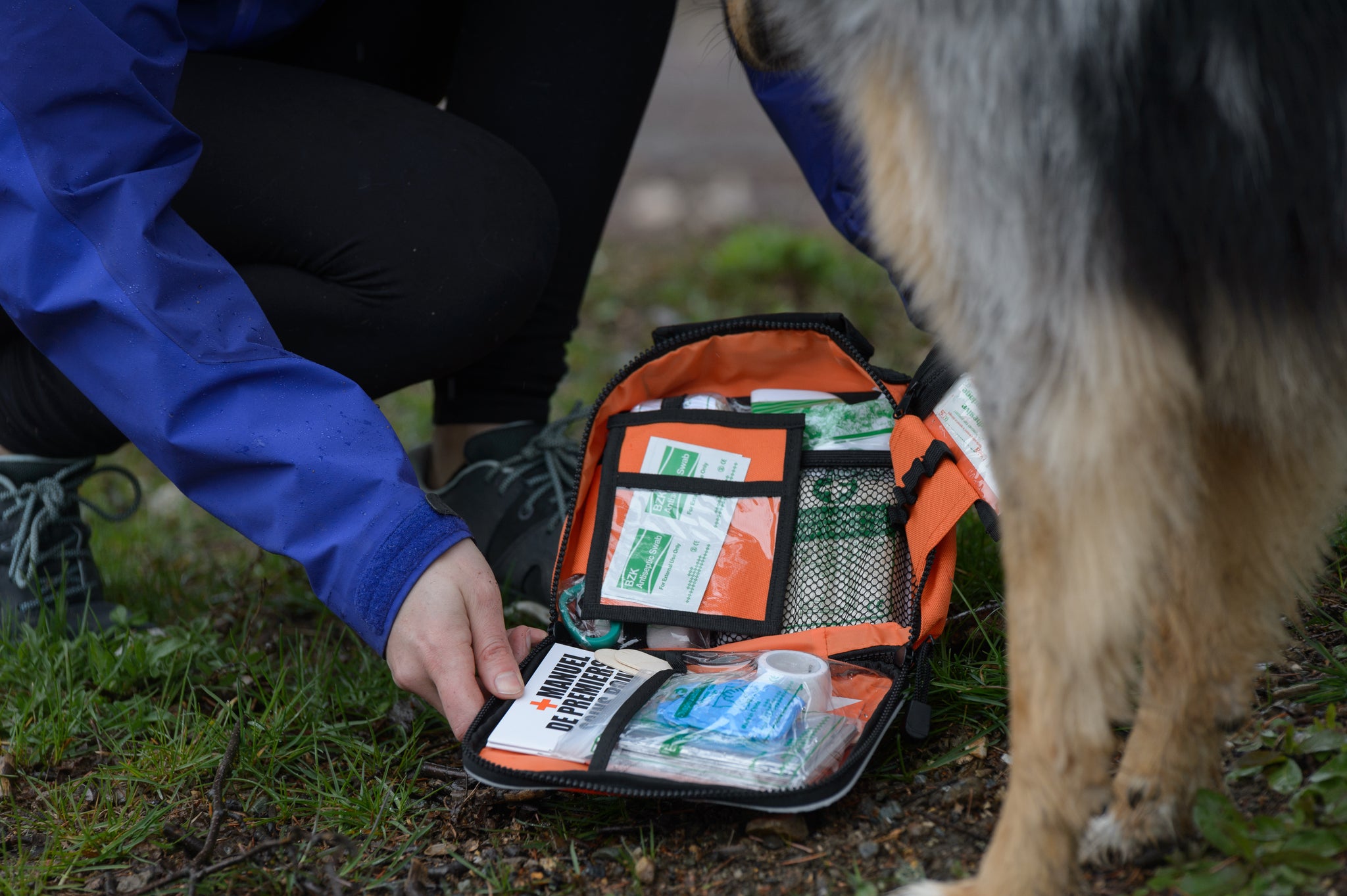 Pet First Aid Kit BC SPCA