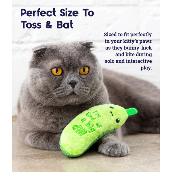 PETSTAGES Crunchy Pickle Cat Toy