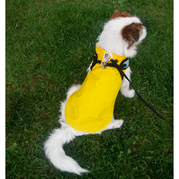 Dog Rain Jacket